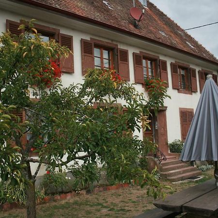 Maison D'Alsace Breitenbach-Haut-Rhin Eksteriør bilde