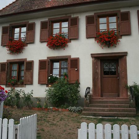 Maison D'Alsace Breitenbach-Haut-Rhin Eksteriør bilde